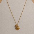 shell dainty chain