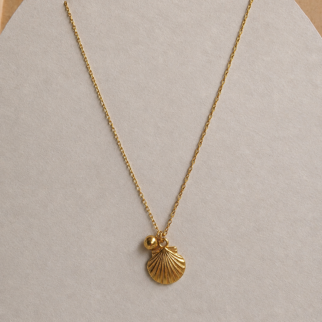 shell dainty chain